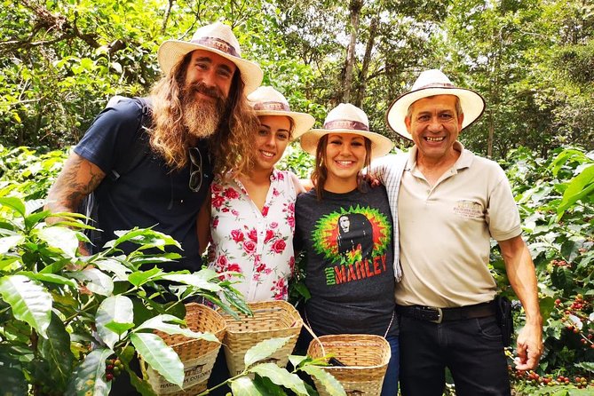 Hands-On Tour to Coffee Plantation from Bogota Option basic - From bean to cup, with coffee liqueur
