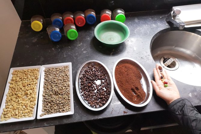 Hands-On Tour to Coffee Plantation from Bogota Option basic - Guide quality and language concerns