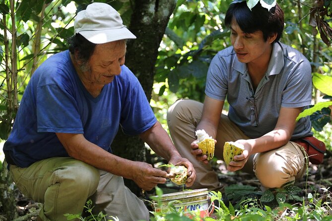 Hidden Waterfall Mining Tour, Coffee and Cocoa Workshop - Lunch and chocolate at Casa Jocolate