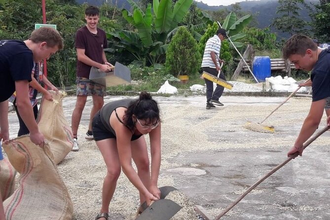 Hidden Waterfall Mining Tour, Coffee and Cocoa Workshop - Who will enjoy this Minca day?