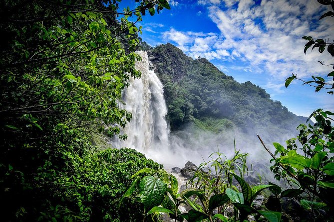 Highest Zipline of Colombia Over Mountains, Jungles & Waterfalls - Five details that shape the day