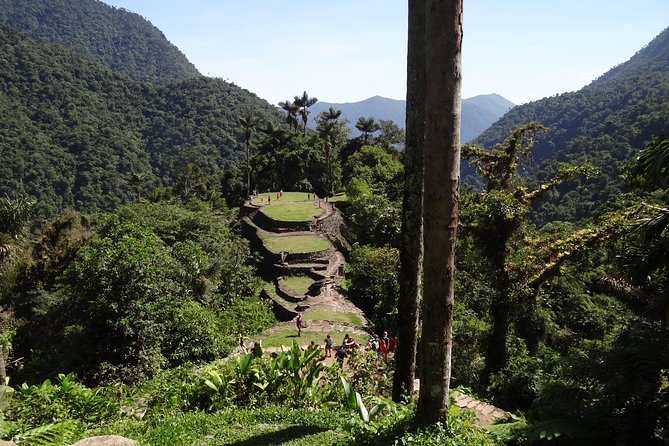 Hike for 4 days to the Lost City, Santa Marta - Day 3: The 1,200 steps to Ciudad Perdida
