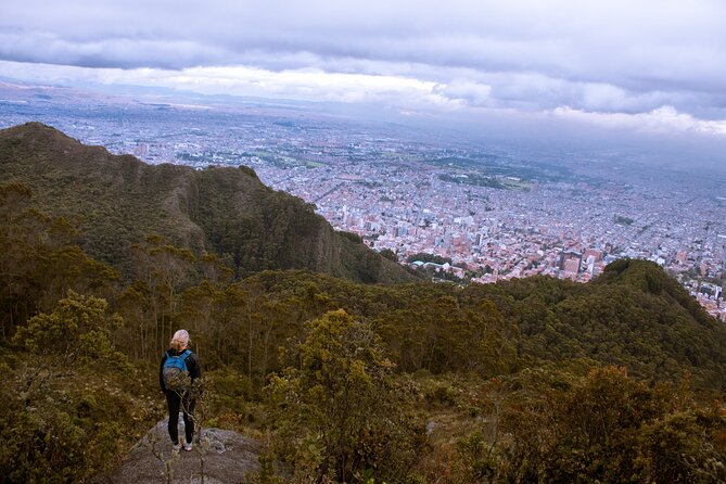 Hike in Bogota's East Hills - Plants, introduced species, and Bogotá’s environmental questions