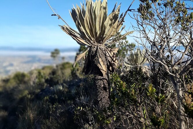 Hike in Bogota's East Hills - Altitude, clothing, and preparation