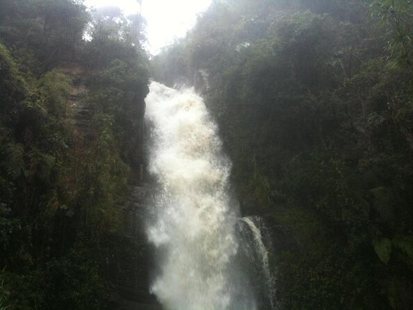 Hike to Colombia's Tallest Waterfall: La Chorrera & El Chiflón - Key points before you book
