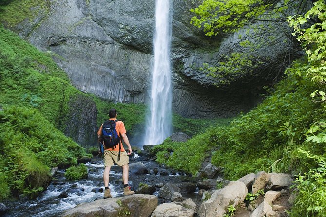 Hike to Colombia's Tallest Waterfall: La Chorrera & El Chiflón - The forest trail to La Chorrera