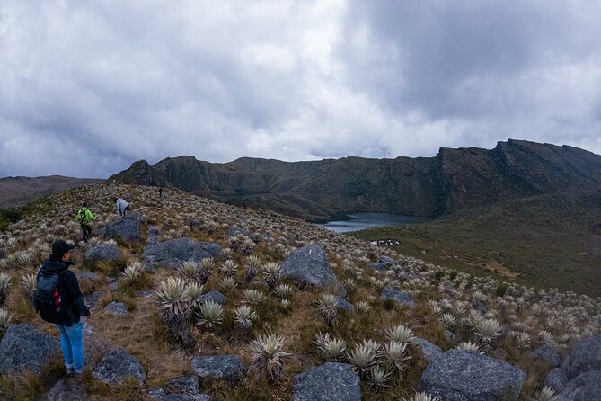 Hiking Chingaza Páramo, Siecha Lagoons - Why Chingaza makes a strong day trip from Bogotá