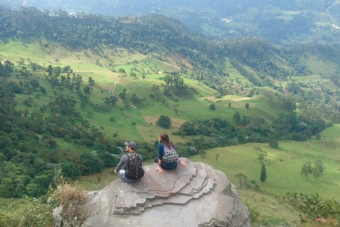 Hiking High Andean Forests - Key points at a glance