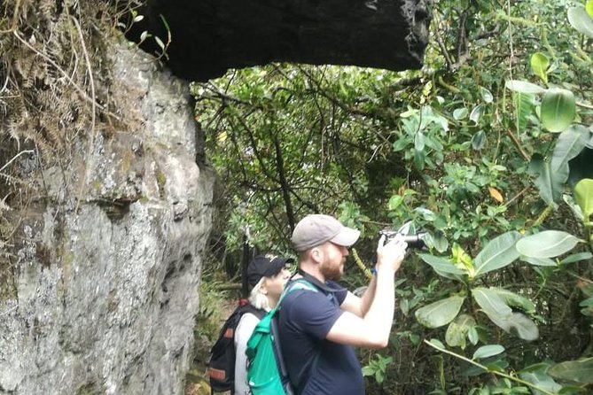Hiking High Andean Forests - What the $135 price includes
