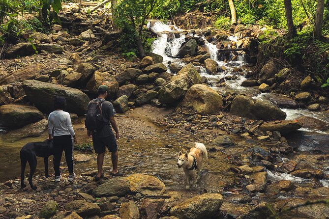 hiking medellin and hidden waterfalls - Guides, safety, and the pace of the group