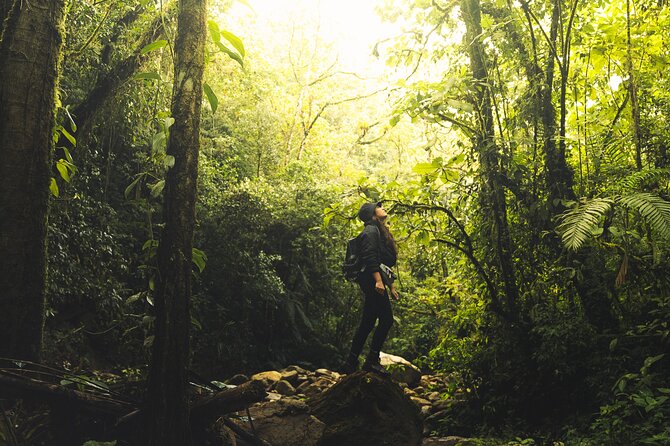 hiking medellin and hidden waterfalls - Los Salados Natural Park and Chorro de las Campanas