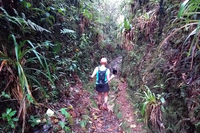 Hiking Mountains and Magical Forests - Key Points Before You Book