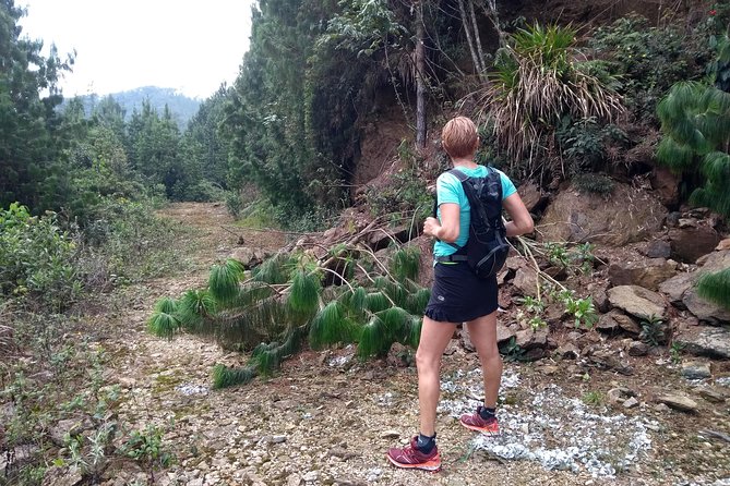 Hiking Mountains and Magical Forests - From Medellín to the Forests of Envigado