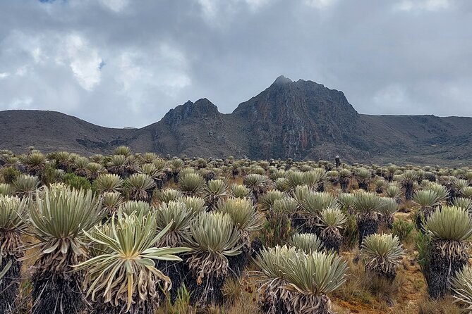 Hiking to the largest paramo on earth : Sumapaz - Why Sumapaz is worth leaving Bogotá for