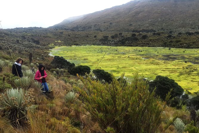 Hiking to the largest paramo on earth : Sumapaz - The road into the páramo