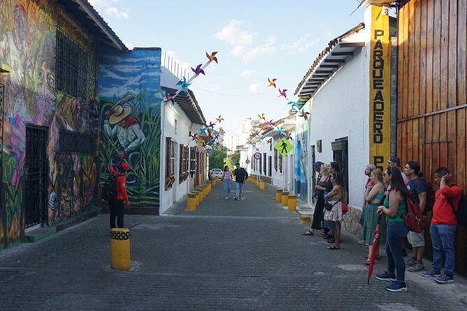 Historical Shared Tour Salsa, Graffiti & Resistance in Cali - Departmental Institute of Fine Arts: where art meets music