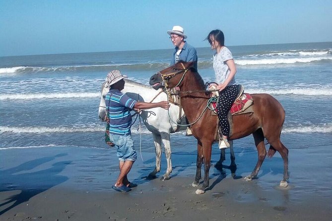 Horse Riding in Cartagena - Key points to know before you book