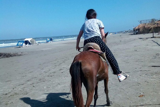 Horse Riding in Cartagena - Why La Boquilla makes this ride different