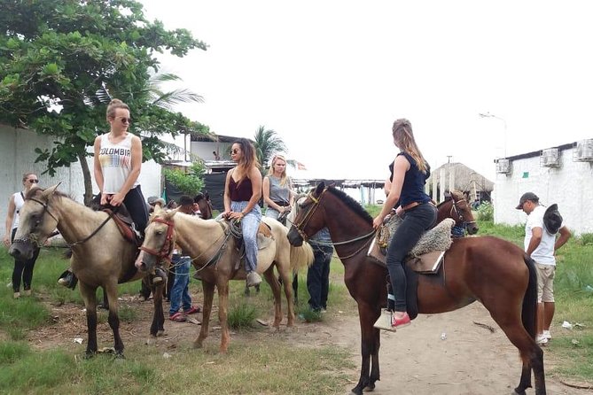 Horse Riding in Cartagena - Meeting the horses and learning the basics