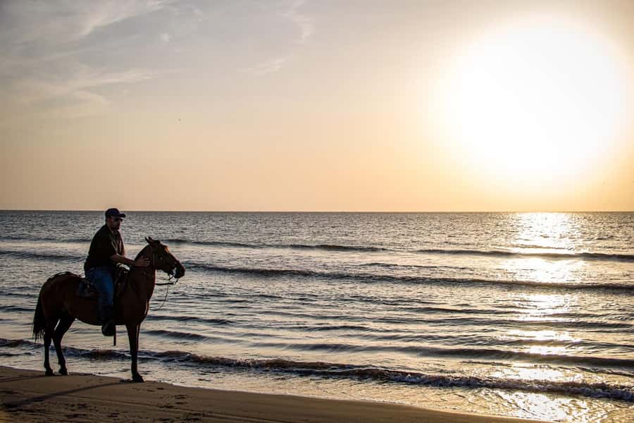 HORSE TOUR IN CARTAGENA BEACH - One hour along the beach