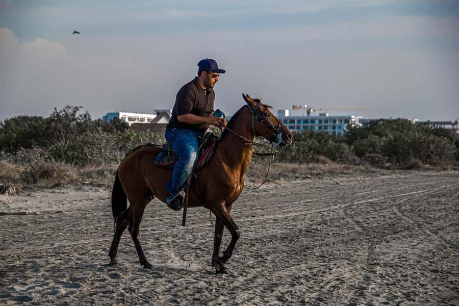 HORSE TOUR IN CARTAGENA BEACH - Photos with your horse