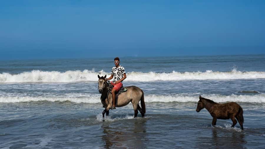HORSE TOUR IN CARTAGENA BEACH - Who will enjoy this Cartagena beach ride?