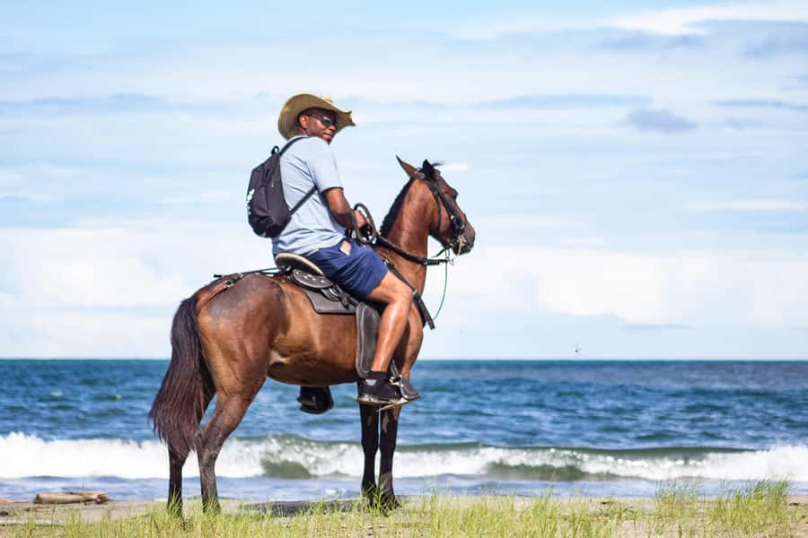 HORSE TOUR IN CARTAGENA BEACH - Meeting the horses and checking your riding level