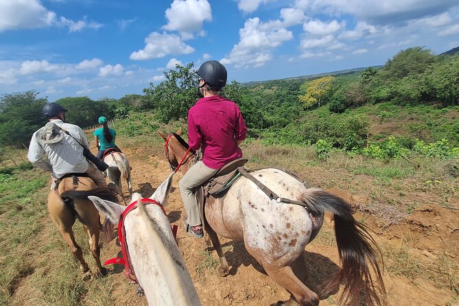 Horseback Ride Near Cartagena With Mountains, Wildlife and Forest - What the ride is really like