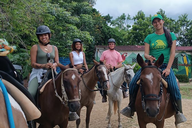 Horseback Ride Near Cartagena With Mountains, Wildlife and Forest - Monkeys, parrots, and forest wildlife