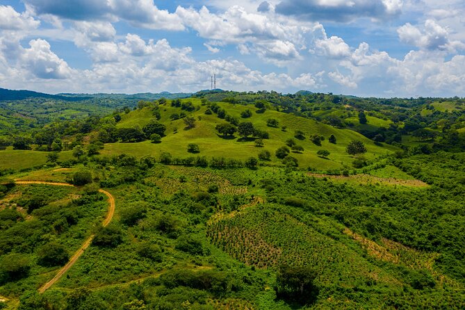 Horseback Ride Near Cartagena With Mountains, Wildlife and Forest - Planting a tree before you leave