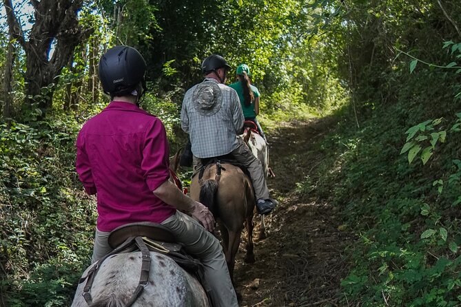 Horseback Ride Near Cartagena With Mountains, Wildlife and Forest - Meeting the parrots and macaws responsibly