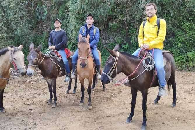Horseback Riding from Guadalupe to Monserrate Private Day-Tour - Why this ride is different from a normal Monserrate visit