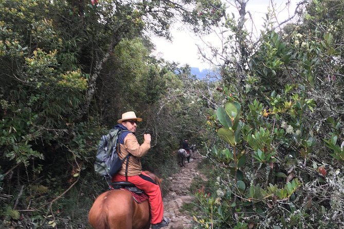Horseback Riding from Guadalupe to Monserrate Private Day-Tour - Riding between Guadalupe and Monserrate
