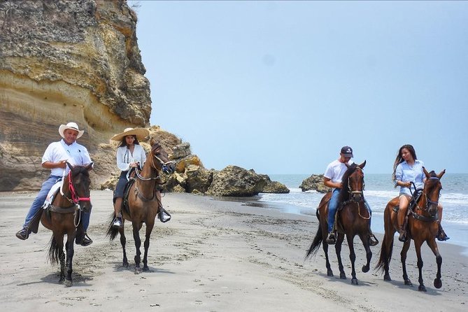 Horseback Riding on the beach with Colombian Paso Show, Cartagena - Key points to know before you book