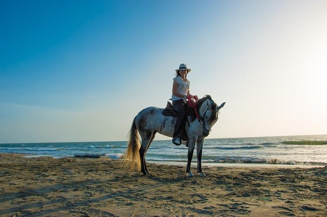 Horseback Riding on the beach with Colombian Paso Show, Cartagena - Why the Colombian Paso introduction matters