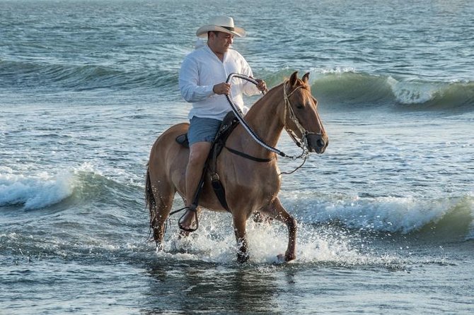 Horseback Riding on the beach with Colombian Paso Show, Cartagena - From Cartagena hotel to Manzanillo del Mar