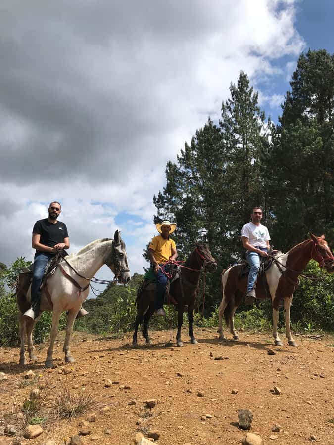 Horseback riding through the mountains of Medellín - Key Details Before You Ride