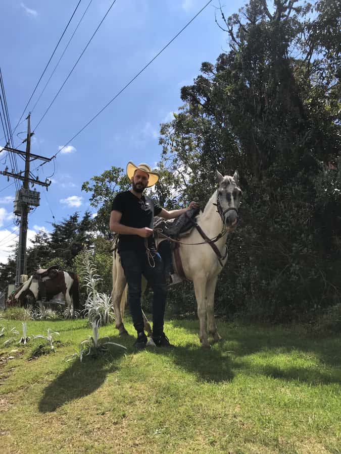 Horseback riding through the mountains of Medellín - Forests, Meadows, and Mountain Air