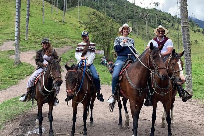 Horseback riding to the viewpoints and the Sestillal waterfall in Salento - What this Salento horseback tour actually includes