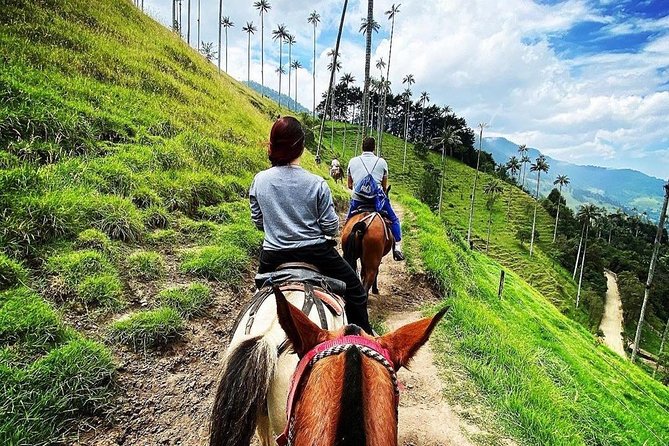 Horseback riding to the viewpoints and the Sestillal waterfall in Salento - The ride itself: scenic, but not a long equestrian trip