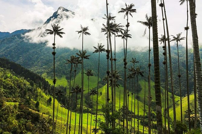 Horseback riding to the viewpoints and the Sestillal waterfall in Salento - Price, value, and the Cocora Valley confusion