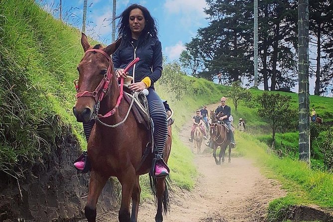 Horseback riding to the viewpoints and the Sestillal waterfall in Salento - Leaving Cocoratours for the forest viewpoints