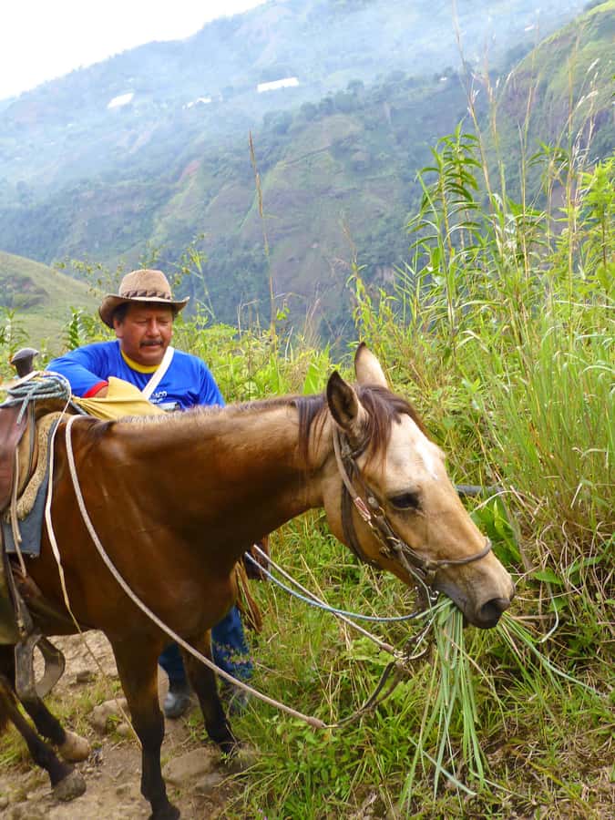 Horseback Riding Tour and visit to Tablón, Chaquira, Pelota - Key points before you saddle up