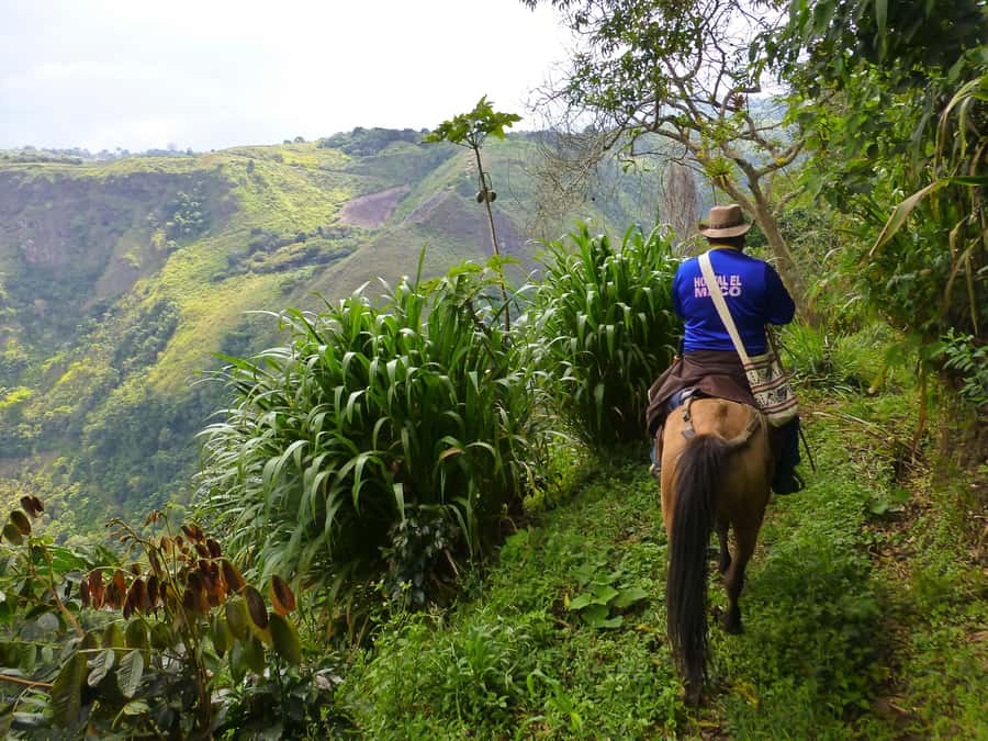 Horseback Riding Tour and visit to Tablón, Chaquira, Pelota - Why horseback riding works well in San Agustín