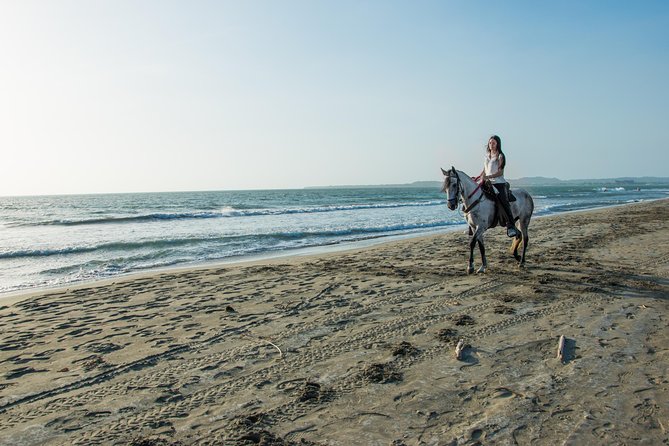 Horseback riding tour in a Colombian Paso fino horse - Riding Along the Beach and Into the Water