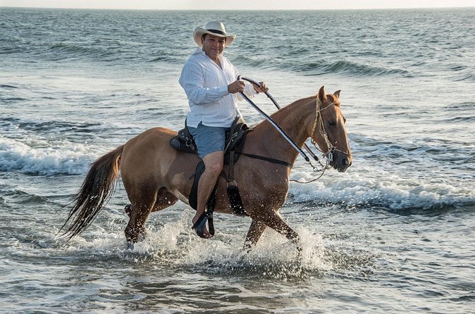 Horseback riding tour in a Colombian Paso fino horse - The People Make the Difference