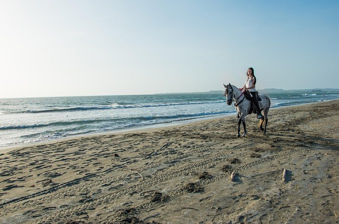 Horseback riding tour in a Colombian Paso fino horse - Who Will Enjoy This Four-Hour Outing?