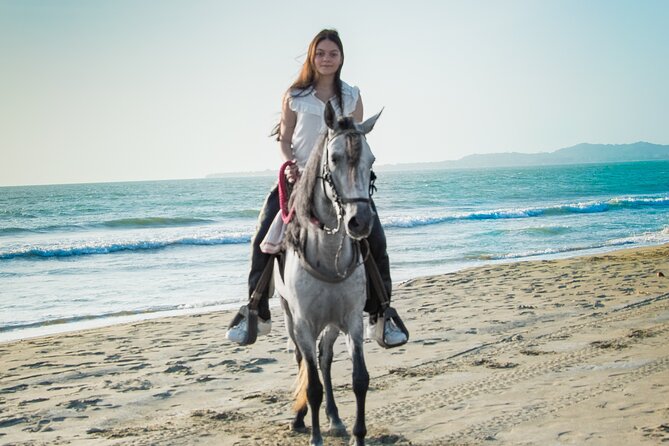 Horseback riding tour in a Colombian Paso fino horse - Should You Book the Paso Fino Beach Ride?