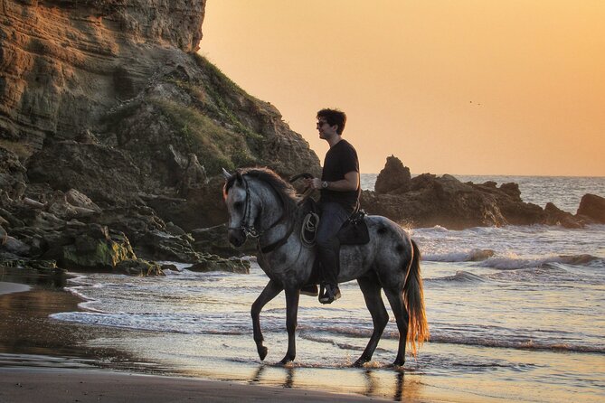 Horseback riding tour in a Colombian Paso fino horse - Photos, Videos, Drinks, and a Meal