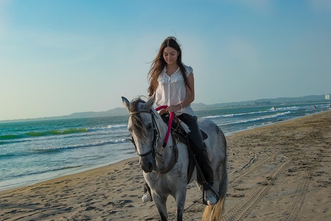 Horseback Riding Tour in Beach of Cartagena - Quick facts about the Cartagena horse ride
